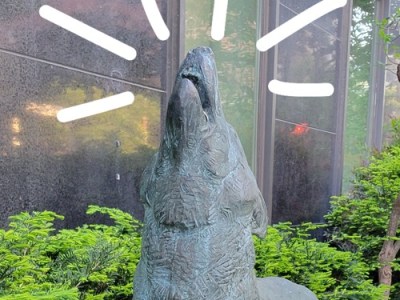 InnerFlowDuo Chakras 4 To 5